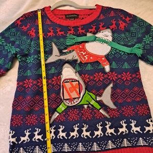 Christmas sweater Blizzard Bay size 14/16